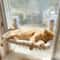 AeroSolstice Elevated Window Hammock 0