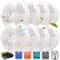 AquaPure Orbital Replacement Cartridges 8Pack 0