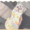 Stability Control Pet Grooming Wrap 2