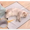 Stability Control Pet Grooming Wrap 3