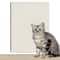 Modular SurfaceShield Scratch Protection 7 Colors 6