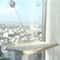 Panoramic WindowPerch Suspension Hub 5
