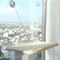Panoramic WindowPerch Suspension Hub 5