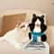 PredatoryEngagement Wrestling Puppet Hub 1