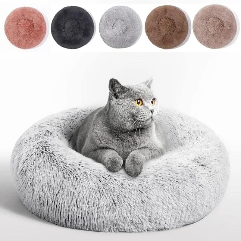 Orthopedic Calming Donut Module 0