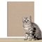 Trimmable Adhesive SurfaceShield 9