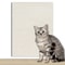 Trimmable Adhesive SurfaceShield 13