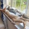 AeroThermal Elevation Hammock 0