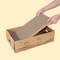 Corrugated Slope Scratching Sanctuary MultiPack 3