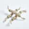 PhytoDermal Dental Sanitization Hub 1