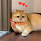 Funny Finger Puppets For Cat Play 2