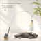Funny Totoro Dragon Teaser Wand 0