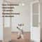 Hanging Automatic Electric Teaser Toy 3