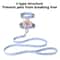Pastel Flower Harness Leash Set 2