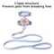 Pastel Flower Harness Leash Set 2