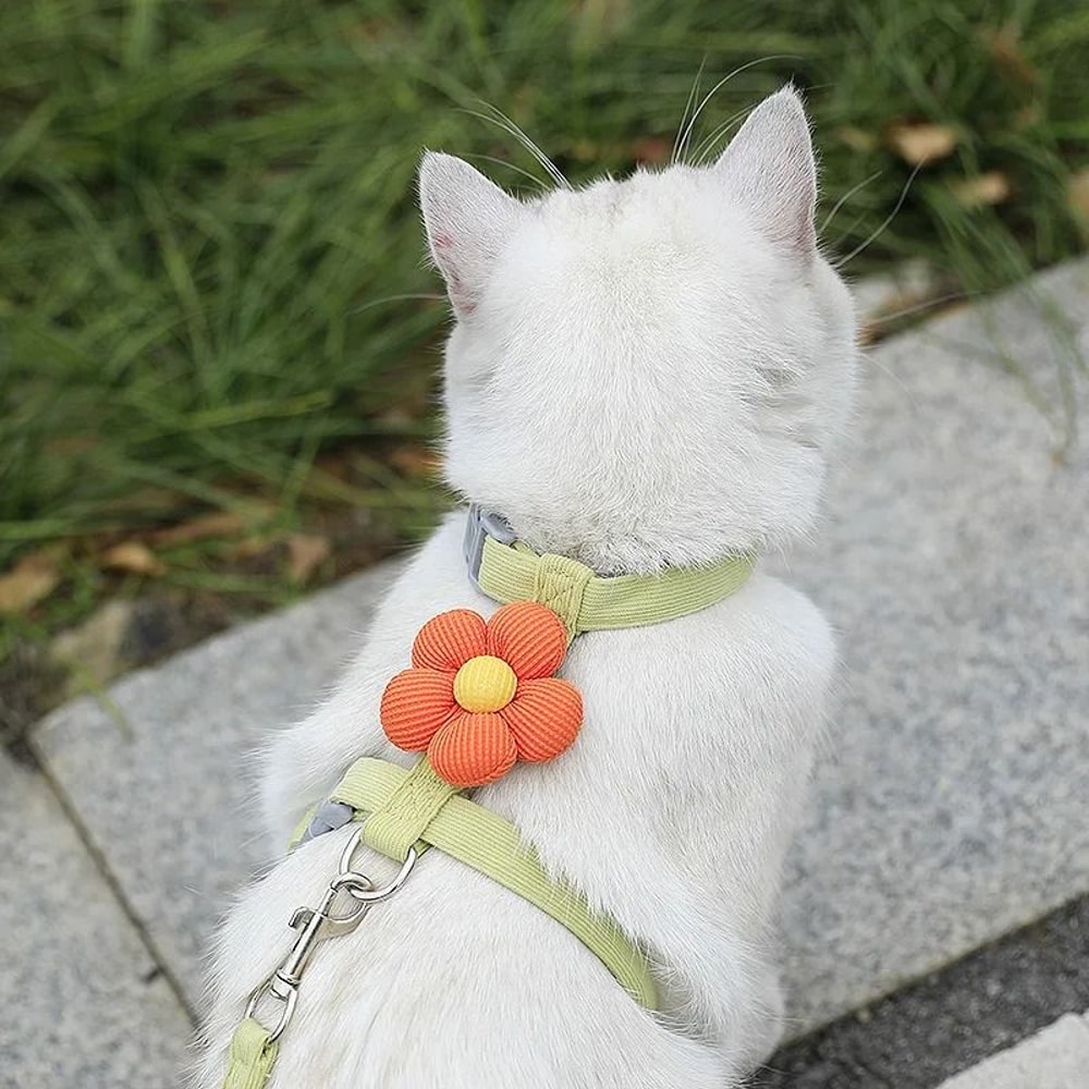 Pastel Flower Harness Leash Set 6