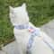 Pastel Flower Harness Leash Set 7