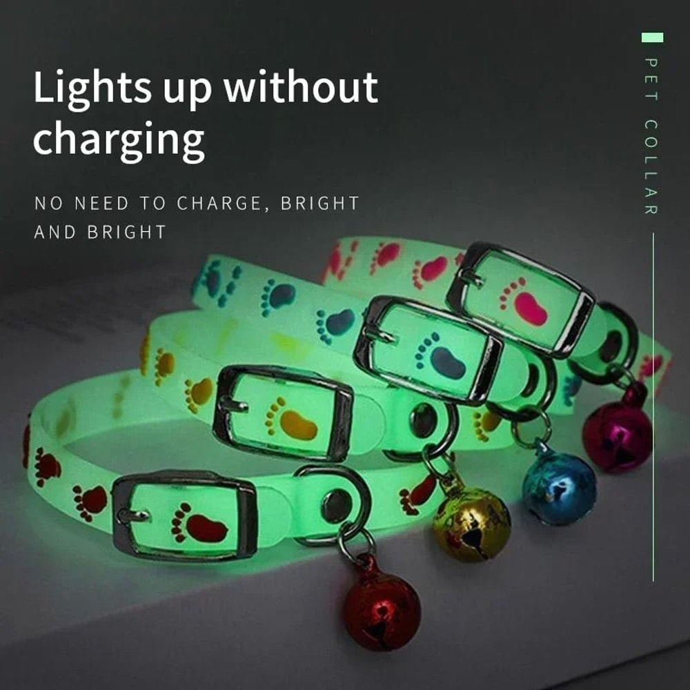 Fluorescent GlowintheDark Silicone Collar 4