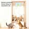 Electric AutoLifting Hanging Door Cat Toy 5