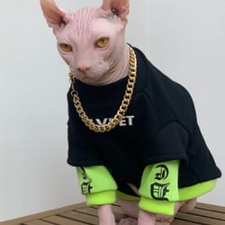 chic winter cotton sweatshirt for hairless cats