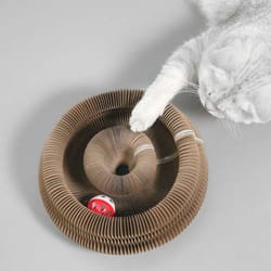 magic organ foldable cat scratcher & toy