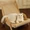 Luxury Sisal Cat Lounge Scratcher Chair 0