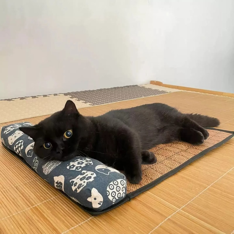 Natural Rattan SelfCooling Summer Pet Mat 0