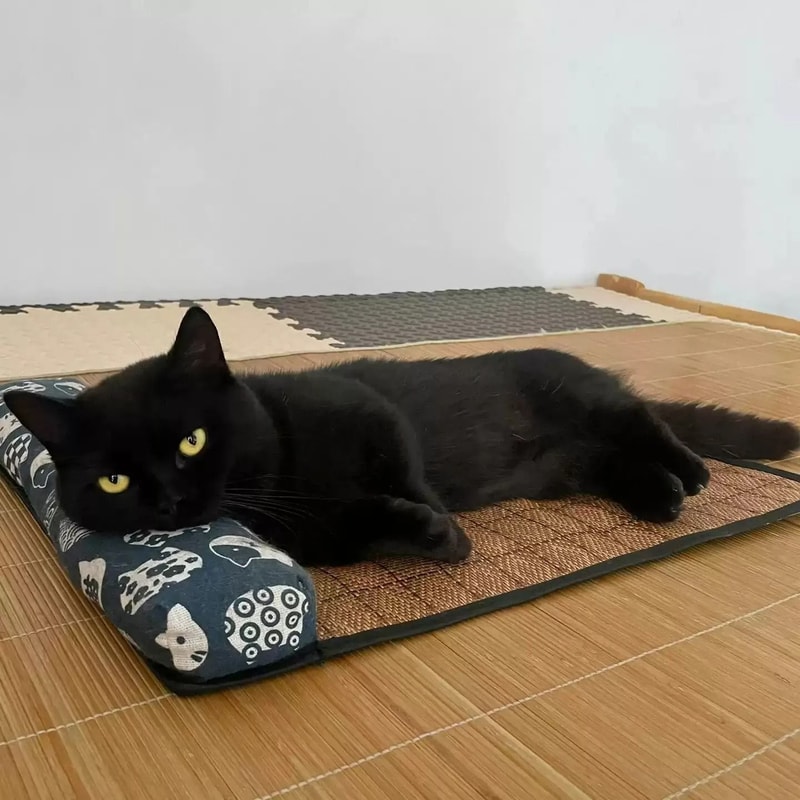 Natural Rattan SelfCooling Summer Pet Mat 1