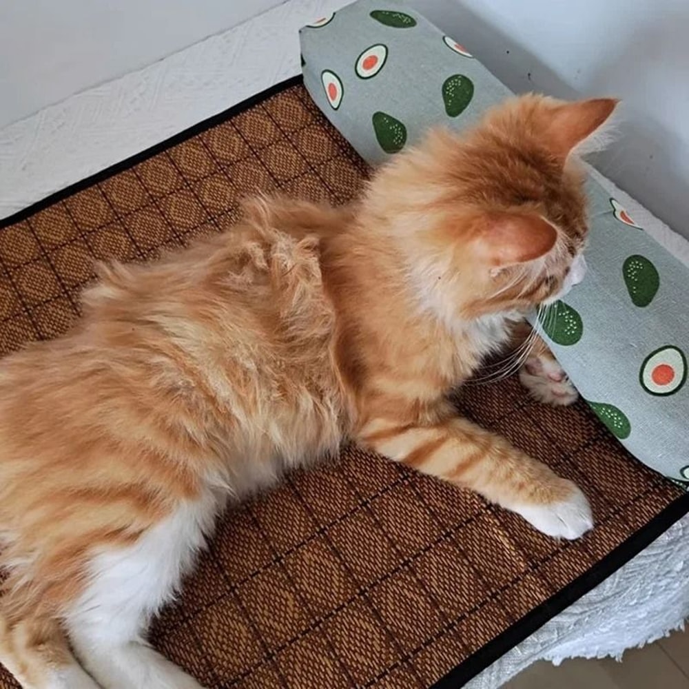 Natural Rattan SelfCooling Summer Pet Mat 4