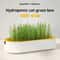 FreshSprout Soilless Hydroponic Cat Grass Planter 0