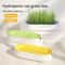 FreshSprout Soilless Hydroponic Cat Grass Planter 1