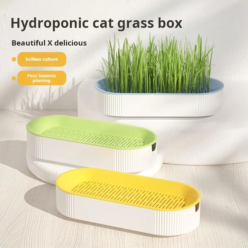 FreshSprout Soilless Hydroponic Cat Grass Planter 1