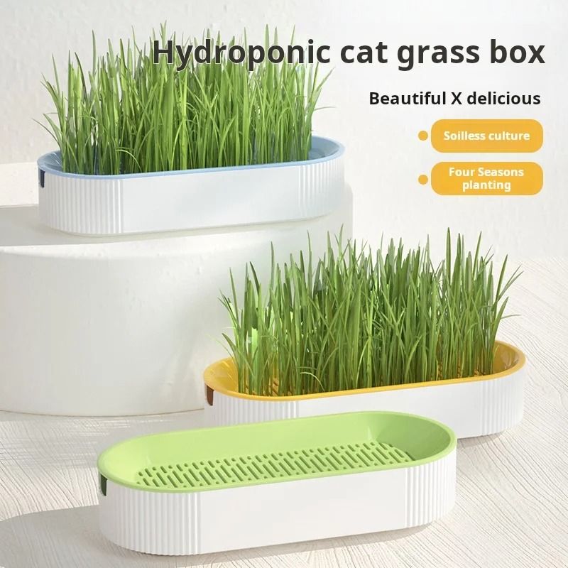 FreshSprout Soilless Hydroponic Cat Grass Planter 3