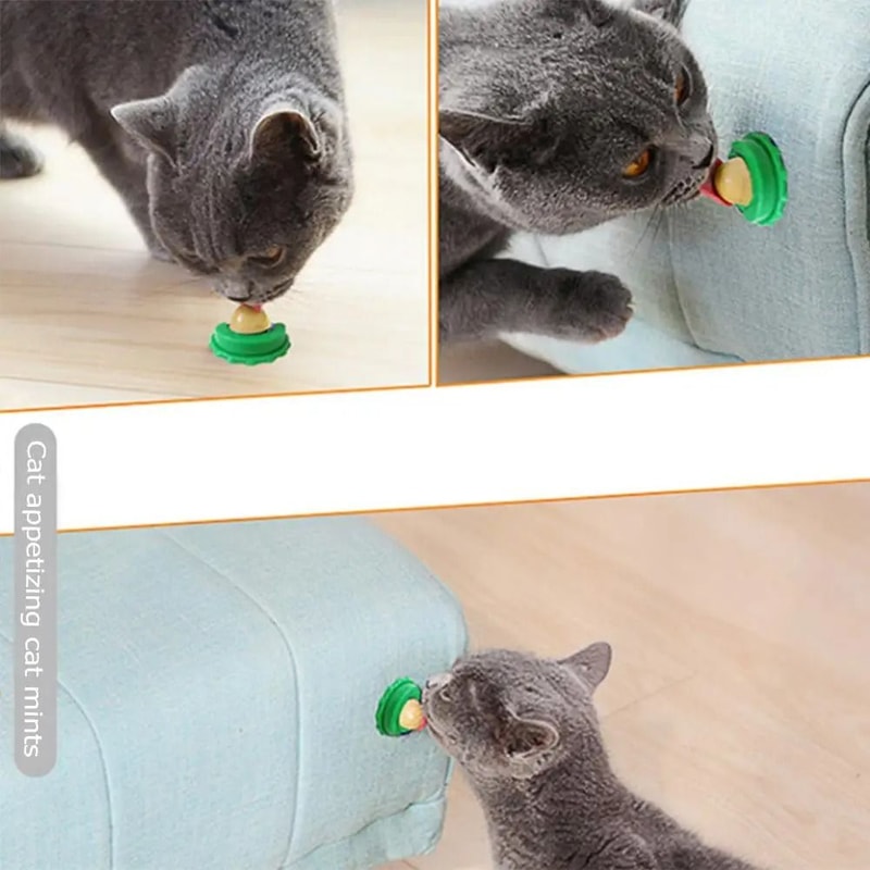 NutriLick Vitality Catnip Energy Ball 1