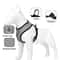 SafeStride EscapeProof Soft Mesh Harness Leash Set 3