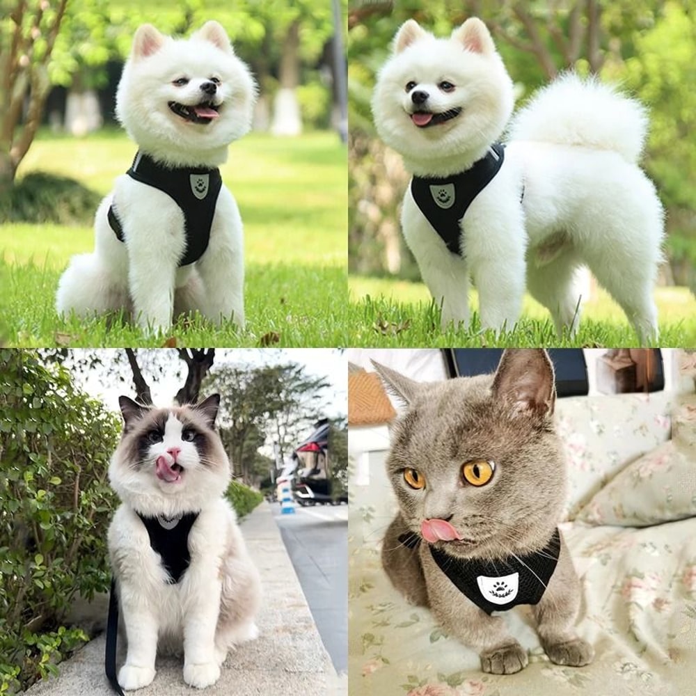 SafeStride EscapeProof Soft Mesh Harness Leash Set 4
