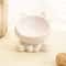 Ergonomic Ceramic HighFoot Pet Bowl 7