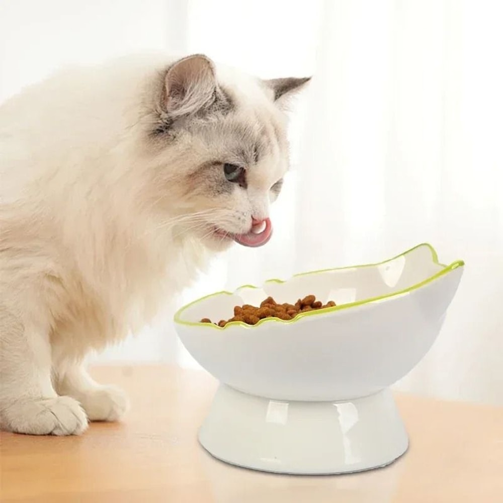 ZenLift Ergonomic Elevated Pet Bowl 2