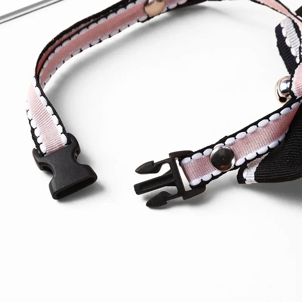 Bespoke Padded Leather ID Collar Leash Set 5