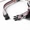 Bespoke Padded Leather ID Collar Leash Set 5