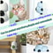 NutriSpin WallMounted Natural Catnip Ball 3