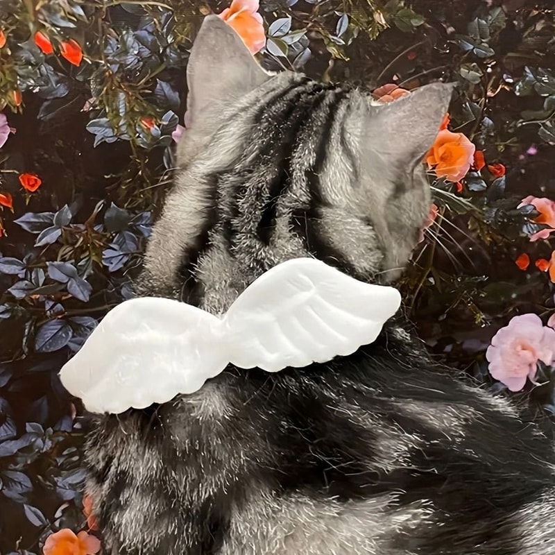 AngelWings Plush Holiday Pet Costume Collar 3