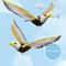 AeroGlide Mechanical Flying Eagle Teaser 2
