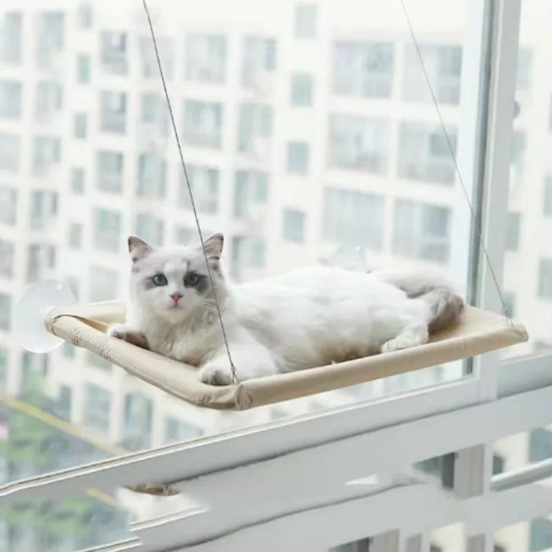 Sunny Window Mounted Cat Hammock 4