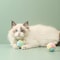 Interactive Cotton Rope Knot Toy Ball 3