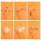 Interactive LongReach Simulation Bird Feather Teaser Wand 4