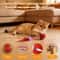 Smart Automated SpeedyTail Interactive Cat Toy Ball 1