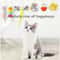 HandsFree SelfPlay Hanging Door Cat Teaser Toy 5