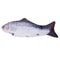 Interactive Flopping Electric Moving Fish Cat Toy 7