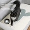 SelfAdhesive HeavyDuty Trimmable Carpet Scratching Mat 50cm X 80cm 2